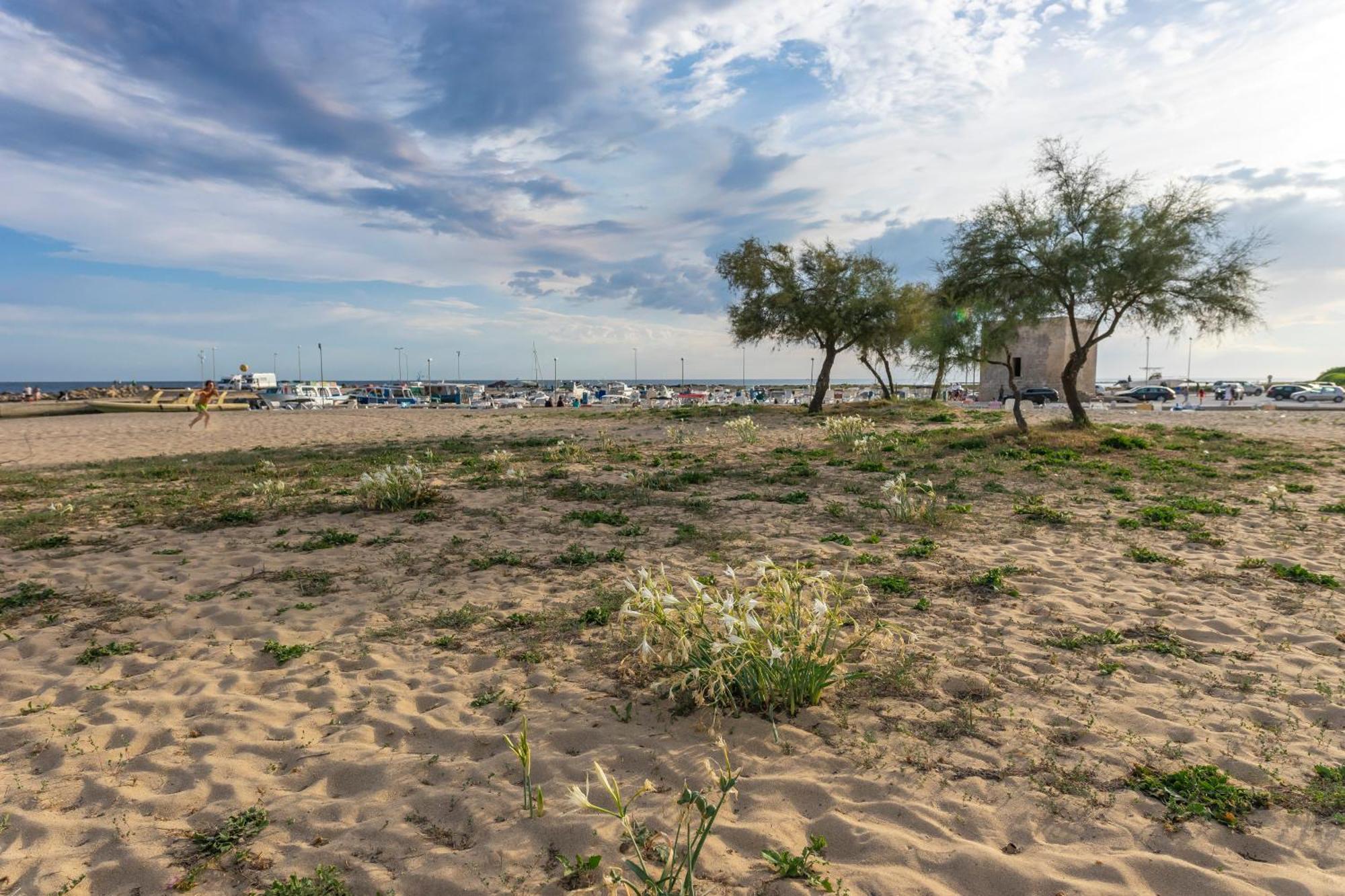 Andrew'S Home - Playita Torre Pali Ngoại thất bức ảnh
