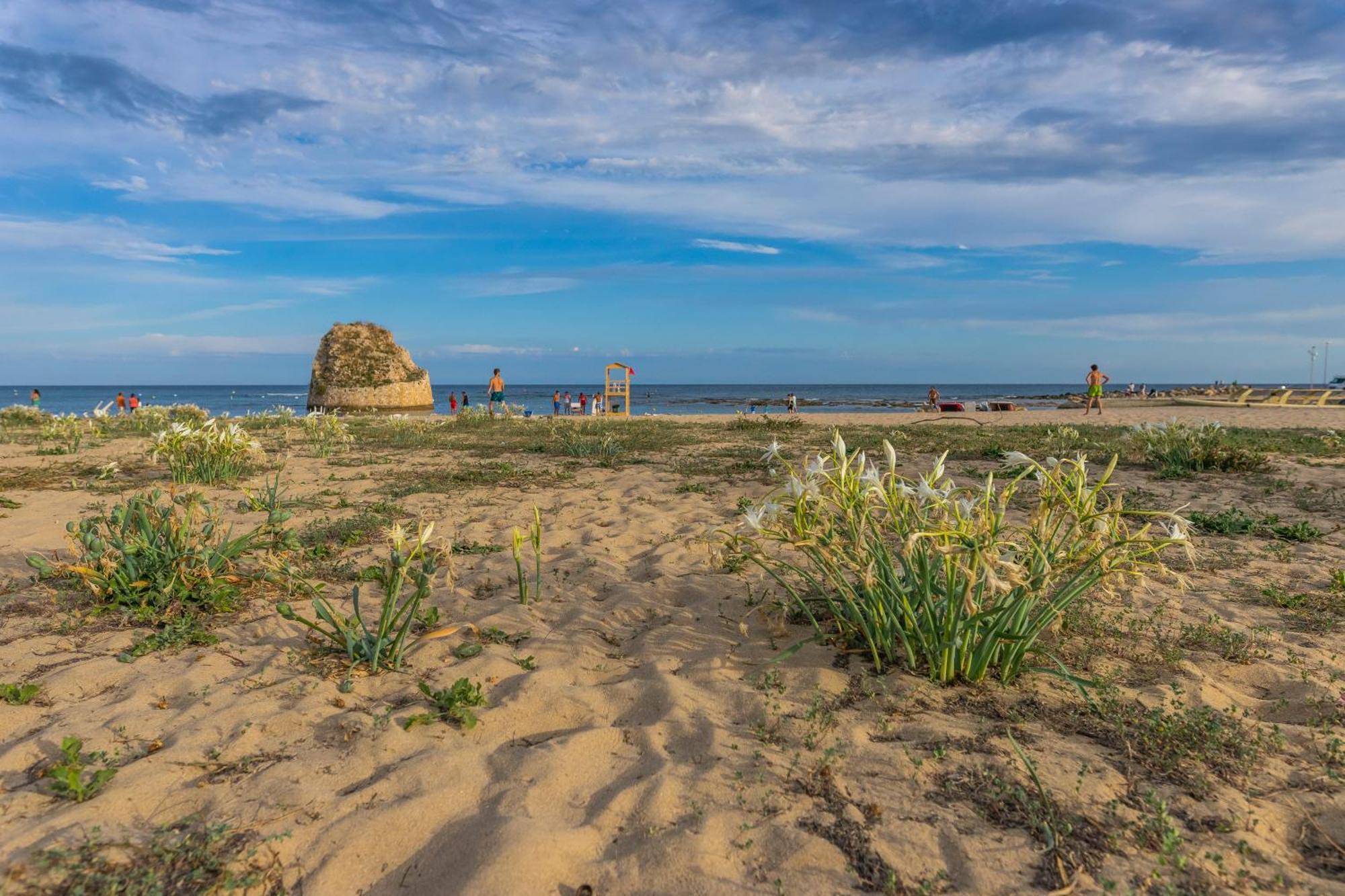 Andrew'S Home - Playita Torre Pali Ngoại thất bức ảnh